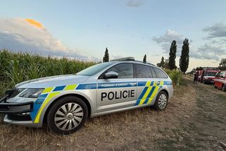 Dvouletá dívka se na Vyškovsku ztratila babičce v kukuřičném poli, po hodině ji našla policie - Novinky